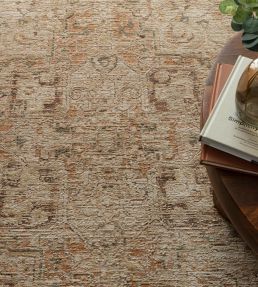 Asiatic Heriz Serapi rug Copper HERI080160HE03 Copper