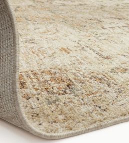 Asiatic Heriz Serapi rug Copper HERI080160HE03 Copper