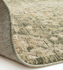 Asiatic Heriz Serapi rug Green HERI080160HE02 Green