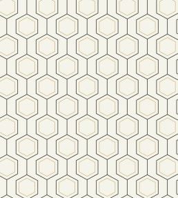 Hexaline Wallpaper by Caselio Noir blanc or