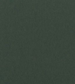 Highland Wool Fabric by Ralph Lauren Hunter
