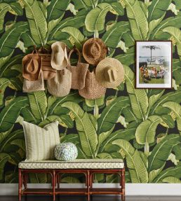 Hinson Palm Wallpaper by Scalamandre Absinthe