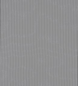 Holden Stripe Fabric by Anna French Black