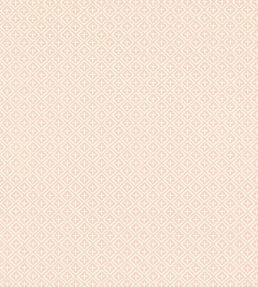 Holiday Trellis Wallpaper by Thibaut Blush