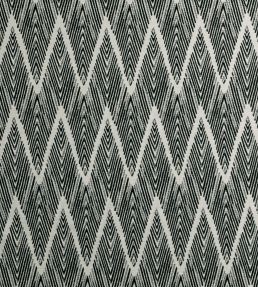 Holzer Fabric by Clarke & Clarke Noir
