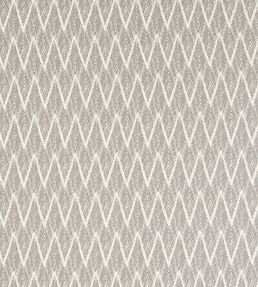 Holzer Fabric by Clarke & Clarke Slate