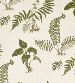 Hosta & Fern Fabric by Sanderson Olivine