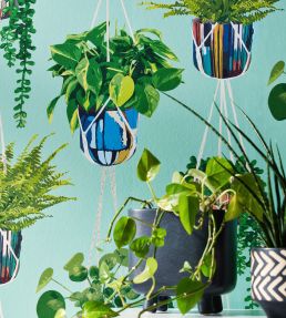 Houseplant Wallpaper by Ohpopsi Bubblegum