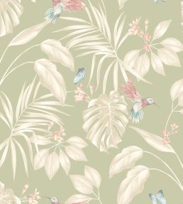 Hummingbird Wallpaper by Ohpopsi Sage