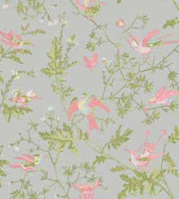 Hummingbirds Wallpaper by Cole & Son Rose & Olive on Grey