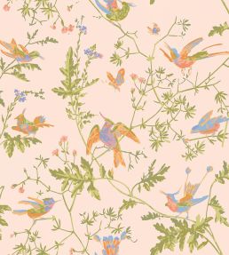 Hummingbirds Cotton Fabric by Cole & Son Tangerine & Olive on Blush