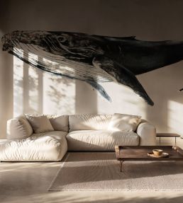 Humpback Whale Mural by Coordonne Grey