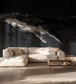 Humpback Whale Mural by Coordonne Night
