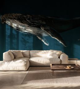 Humpback Whale Mural by Coordonne Ocean