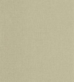 Hygge Uni Wallpaper by Caselio Vert Lichen