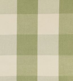 Avon Check Fabric by Ian Mankin Sage