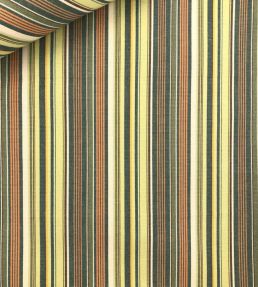 Pyjama Stripe Fabric by Ian Sanderson Jungle