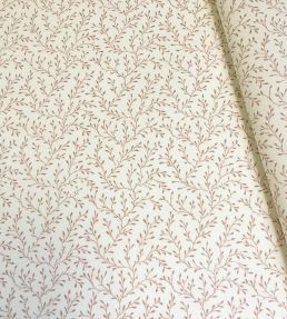Leonie Fabric by Ian Sanderson Shrimp