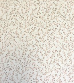 Leonie Fabric by Ian Sanderson Shrimp
