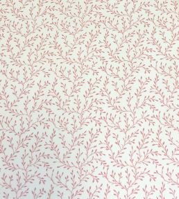 Leonie Fabric by Ian Sanderson Coral