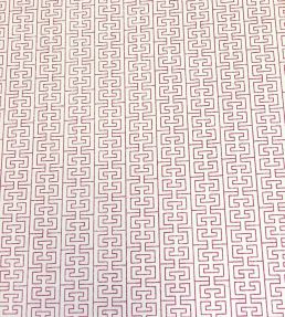 Tang Fabric by Ian Sanderson Raspberry