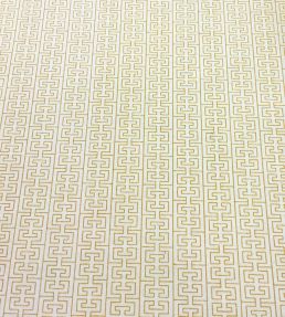 Tang Fabric by Ian Sanderson Turmeric