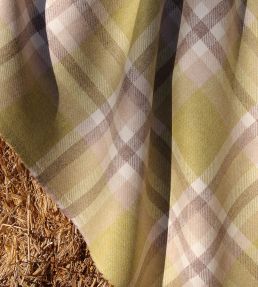 Cree Plaid Fabric by Ian Sanderson Willow