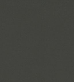 Ice II Fabric by Kirkby Design Anthracite