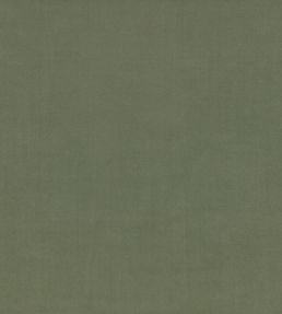 Ice II Fabric by Kirkby Design Avocado