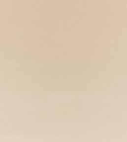 Ice II Fabric by Kirkby Design Buff
