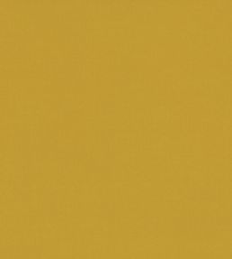 Ice II Fabric by Kirkby Design Corn