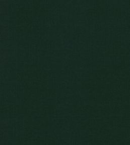 Ice II Fabric by Kirkby Design Evergreen