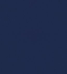 Ice II Fabric by Kirkby Design Indigo