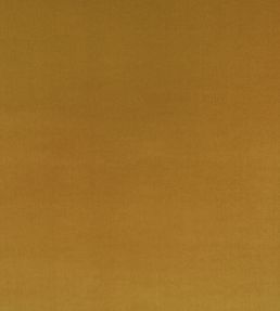 Ice II Fabric by Kirkby Design Ochre