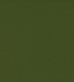 Ice II Fabric by Kirkby Design Olive