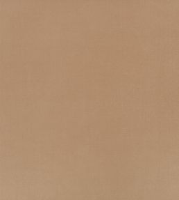 Ice II Fabric by Kirkby Design Truffle