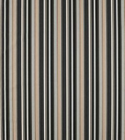 Idro Outdoor Fabric by Clarke & Clarke Natural