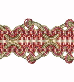 Imperiale Braid Trimming by Houles Primavera