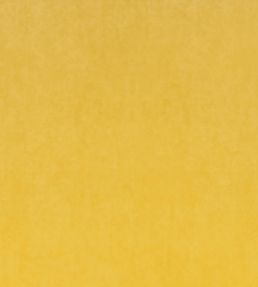 Inca Performance Velvet Fabric by Christopher Farr Cloth Limone