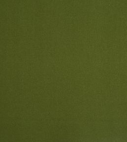 Ingleton Fabric by Prestigious Textiles Grass