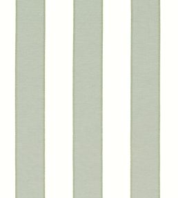 Intaglio Stripe Fabric by Thibaut Aloe