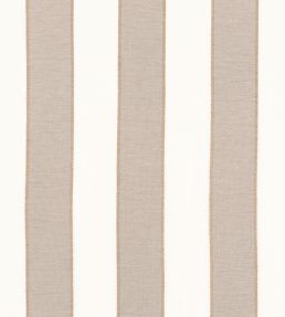 Intaglio Stripe Fabric by Thibaut Fawn