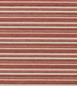 Integer Fabric by Clarke & Clarke Spice