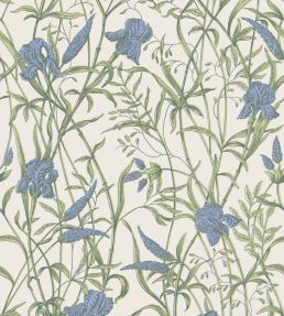 Iris Wallpaper by Cole & Son Iris Blue on Stone