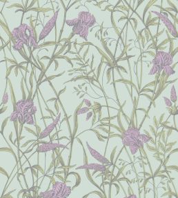 Iris Wallpaper by Cole & Son Lavender on Duck Egg