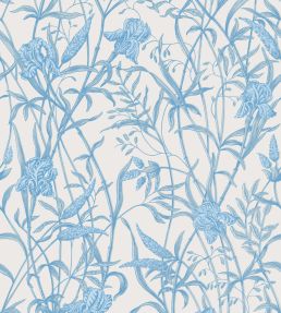 Iris Wallpaper by Cole & Son Soft Cerulean on Porcelain