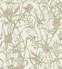 Iris Wallpaper by Cole & Son Soft Coral on Chalk