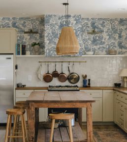 Islet Hoping Toile Wallpaper by Josephine Munsey Blue