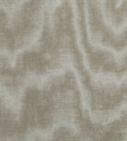 Jacopo Fabric by Zinc Buff