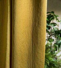 Jade Fabric by Lizzo Chartreuse